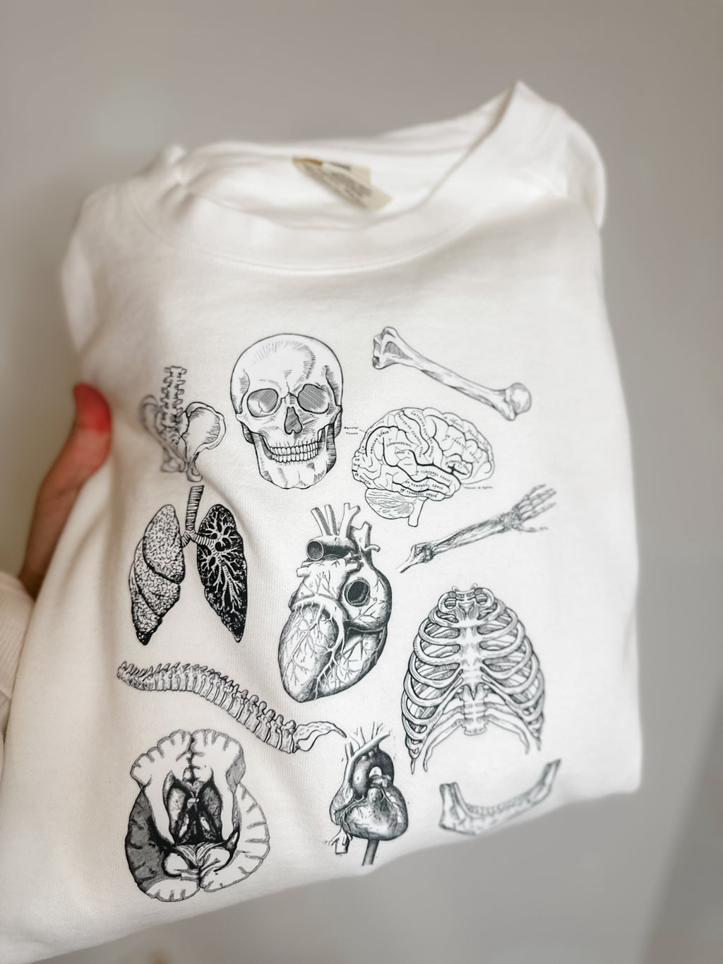 Anatomy Gildan Crew