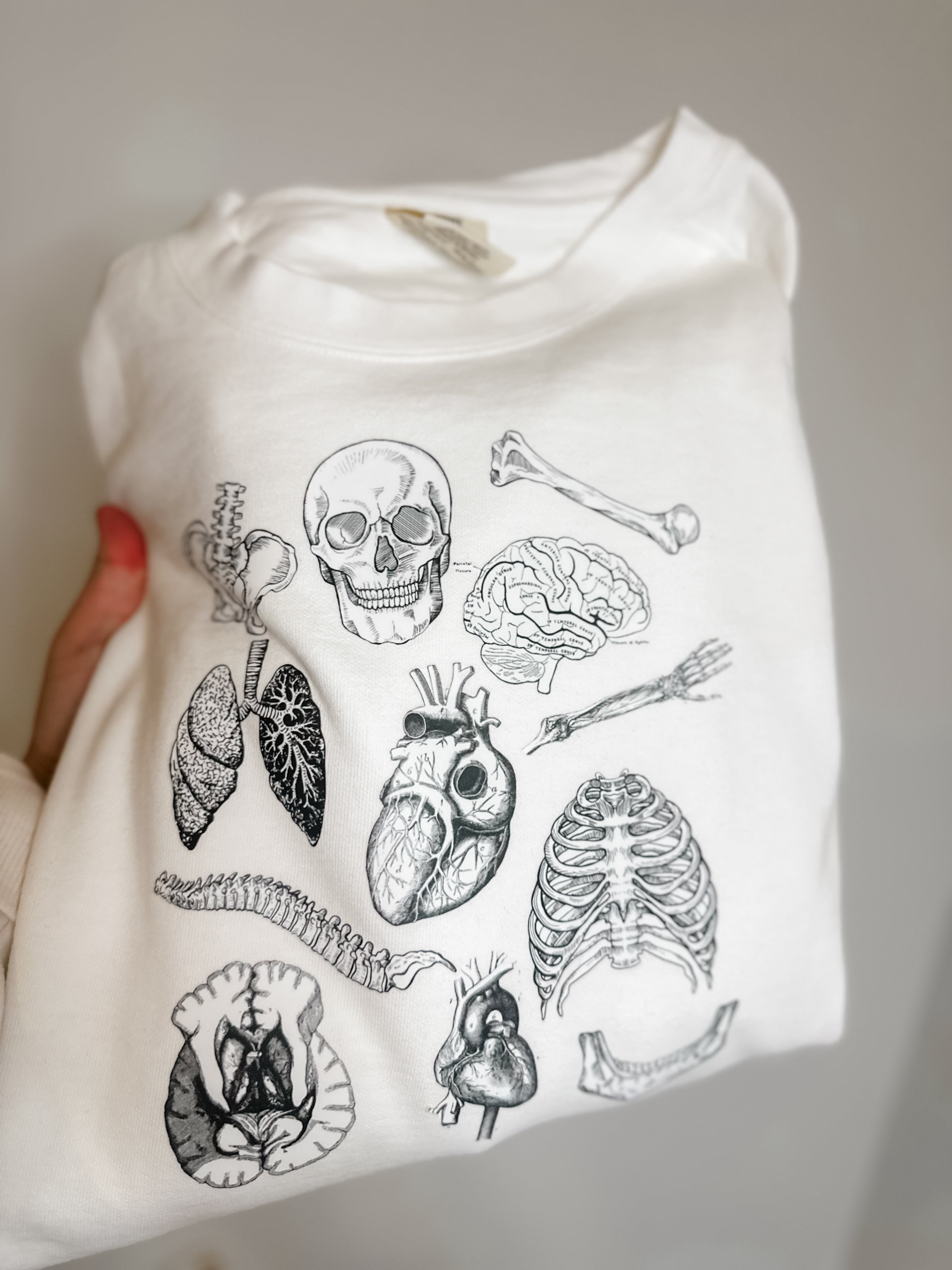 Anatomy Gildan Crew