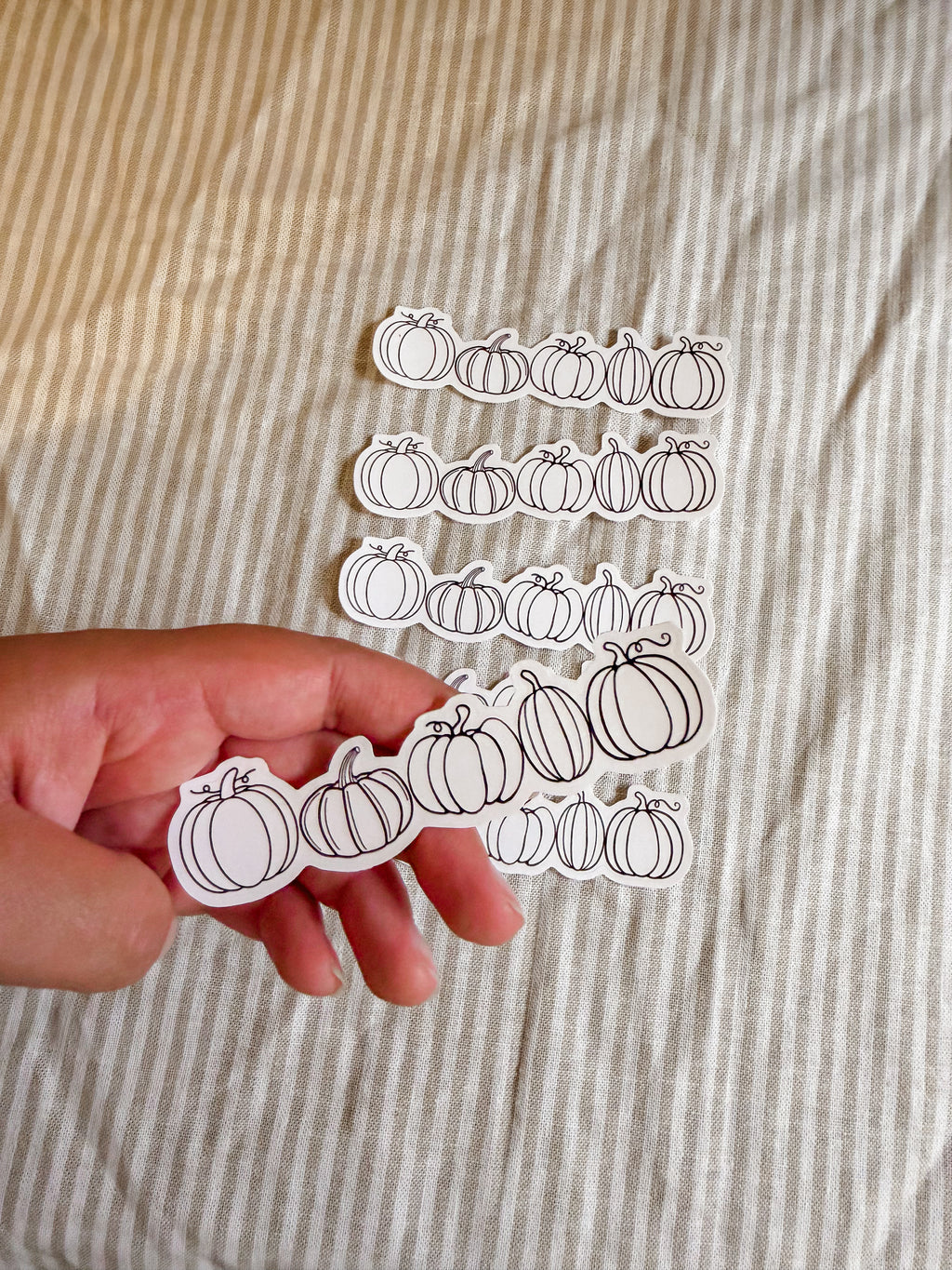 5 little pumpkins sticker